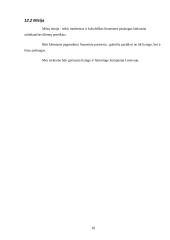 Lizingo procesas 16 puslapis