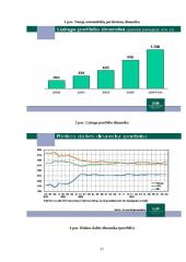 Lizingo procesas 19 puslapis