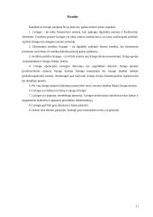 Lizingas, lizingo nauda 11 puslapis