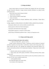 Lizingas, lizingo nauda 7 puslapis