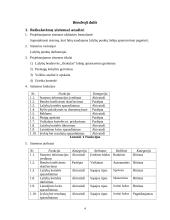 Lošėjų aptarnavimo sistema: lažybų bendrovė UAB "Orakulas" 4 puslapis