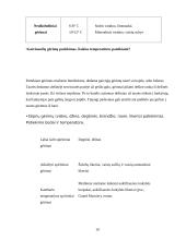 Maitinimo organizavimas ir aptarnavimas 19 puslapis