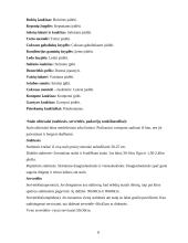 Maitinimo organizavimas ir aptarnavimas 8 puslapis