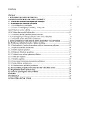 Makroekonominės ir valiutos kurso problemos naujosiose Europos Sąjungos (ES) šalyse, siekiant įsivesti eurą 2 puslapis