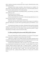 Marketingo analizė: buitinių prekių ir kompiuterių pardavimas UAB "BMS" 15 puslapis