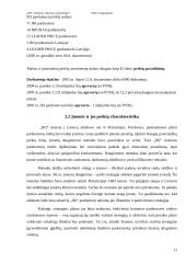 Marketingo aplinkos analizė: "IKI" prekybos sistema 11 puslapis