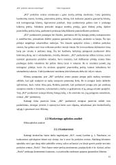 Marketingo aplinkos analizė: "IKI" prekybos sistema 12 puslapis