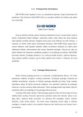 Marketingo komplekso studija: bankas DnB NORD 11 puslapis