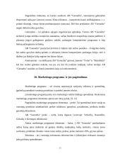 Marketingo koncepcija: AB "Geonafta" 13 puslapis