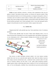 Marketingo planas: kavinė "Briedžio ragas" 15 puslapis