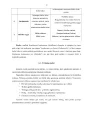 Marketingo planas: kavinė "Briedžio ragas" 17 puslapis