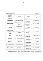 Marketingo planas: kavinė "Briedžio ragas" 18 puslapis