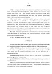 Marketingo planas: kavinė "Briedžio ragas" 5 puslapis