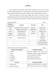 Marketingo planas: kavinė "Briedžio ragas" 6 puslapis