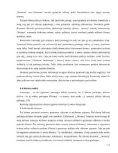 Marketingo planas: kelionės organizatorius UAB "Neoturas" 13 puslapis