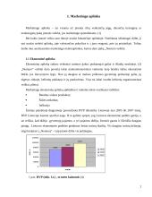 Marketingo planas: kelionės organizatorius UAB "Neoturas" 3 puslapis