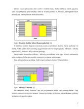 Marketingo planas: kelionės organizatorius UAB "Neoturas" 4 puslapis
