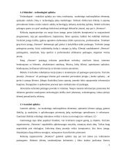 Marketingo planas: kelionės organizatorius UAB "Neoturas" 6 puslapis