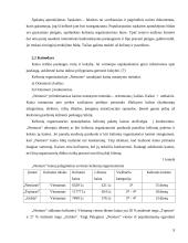 Marketingo planas: kelionės organizatorius UAB "Neoturas" 10 puslapis