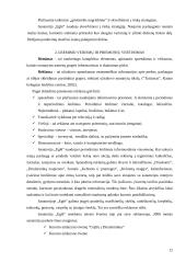Marketingo planas: sanatorija AB "Eglė" 11 puslapis