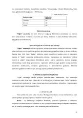 Marketingo planas: sanatorija AB "Eglė" 9 puslapis