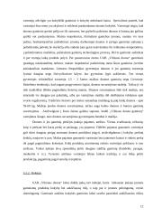 Marketingo planas: UAB "Vilniaus duona" 12 puslapis