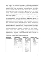 Marketingo planas: UAB "Vilniaus duona" 17 puslapis