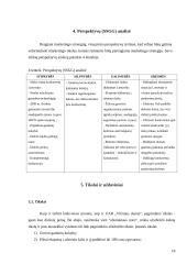 Marketingo planas: UAB "Vilniaus duona" 18 puslapis