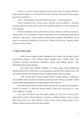 Marketingo planas: UAB "Vilniaus duona" 7 puslapis