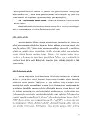 Marketingo planas: UAB "Vilniaus duona" 10 puslapis