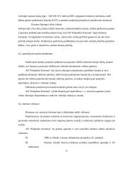 Marketingo plano parengimas: AB "Klaipėdos kartonas" litlaineris 17 puslapis