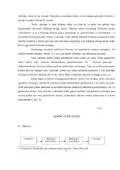 Marketingo plano parengimas: AB "Klaipėdos kartonas" litlaineris 5 puslapis