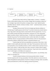 Marketingo plano parengimas: AB "Klaipėdos kartonas" litlaineris 6 puslapis