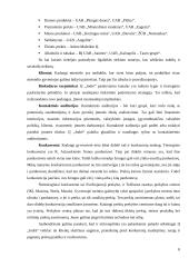 Marketingo programos tobulinimas: IĮ "JODRĖ" 8 puslapis