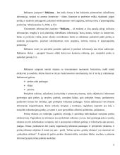 Marketingo rėmimo priemonės: UAB "Lizėja" 14 puslapis