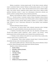 Marketingo rėmimo priemonės: UAB "Lizėja" 15 puslapis