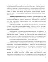 Marketingo rėmimo priemonės: UAB "Lizėja" 8 puslapis