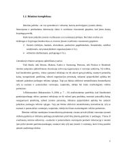 Marketingo rėmimo priemonės: UAB "Lizėja" 10 puslapis
