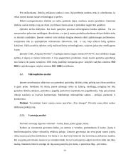 Marketingo sprendimai: UAB "Naujasis Nevėžis" sausi pusryčiai "Trys draugai" 14 puslapis