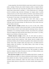 Žinomų marketingo strategijų nagrinėjimas 13 puslapis