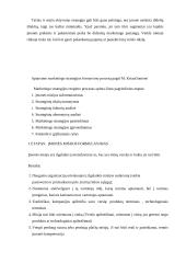 Žinomų marketingo strategijų nagrinėjimas 14 puslapis