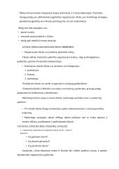 Žinomų marketingo strategijų nagrinėjimas 15 puslapis