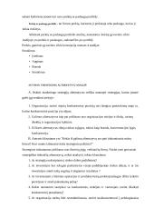 Žinomų marketingo strategijų nagrinėjimas 17 puslapis