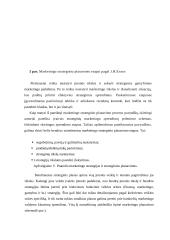 Žinomų marketingo strategijų nagrinėjimas 7 puslapis