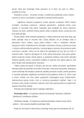 Žinomų marketingo strategijų nagrinėjimas 9 puslapis