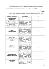Marketingo strategija: azotinių trąšų ir chemijos produktų gamyba  AB "Achema" 11 puslapis