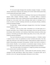 Marketingo strategija: dienraštis UAB "Verslo žinios" 2 puslapis