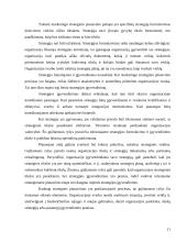 Marketingo strategija: dienraštis UAB "Verslo žinios" 11 puslapis