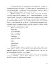 Marketingo strategija: dienraštis UAB "Verslo žinios" 12 puslapis