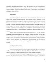 Marketingo strategija: dienraštis UAB "Verslo žinios" 17 puslapis